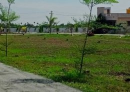 Ponraj Construction (43)