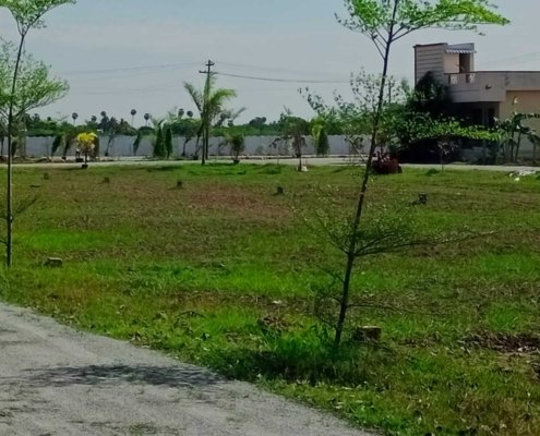 Ponraj Construction (43)