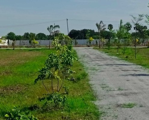 Ponraj Construction (44)