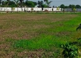 Ponraj Construction (49)