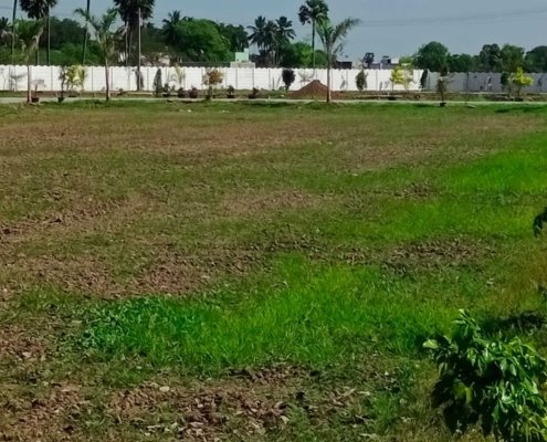 Ponraj Construction (49)