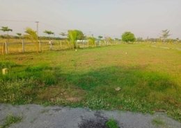 Ponraj Construction (55)