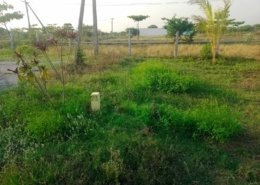 Ponraj Construction (63)