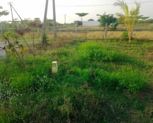 Ponraj Construction (63)