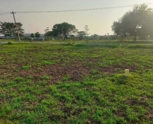 Ponraj Construction (67)