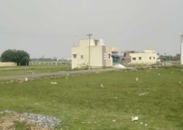 Ponraj Construction (95)